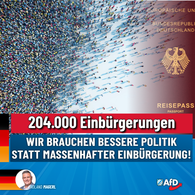 Roland Magerl AfD 204.000 Einbürgerungen