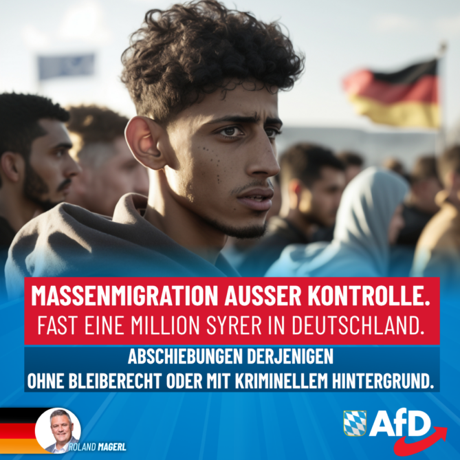 Roland Magerl AfD - Migration außer Kontrolle