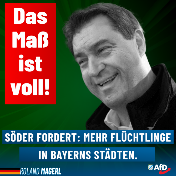 Roland Magerl AfD - Das Maß ist voll