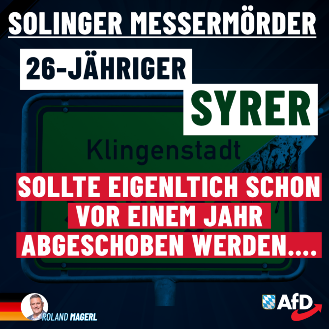 Roland Magerl AfD - Solingen Messerstecher Syrer