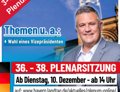 3-Tage Plenum – Dezember 2024
